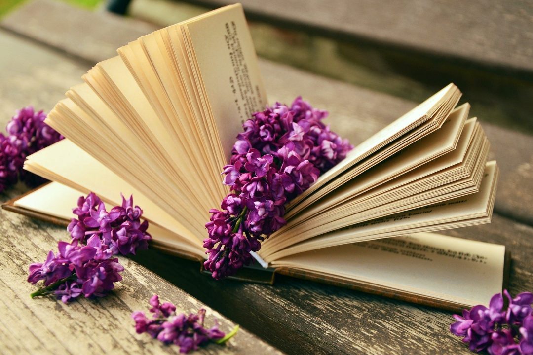 book-759873_1920